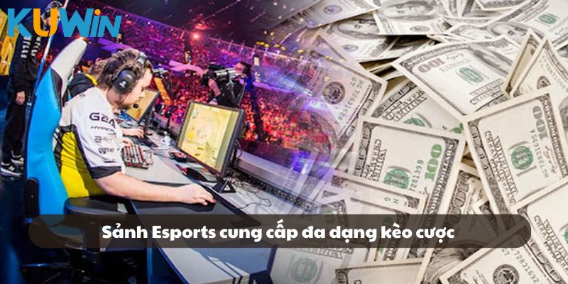 Sảnh Esports cung cấp đa dạng thể loại kèo cược
