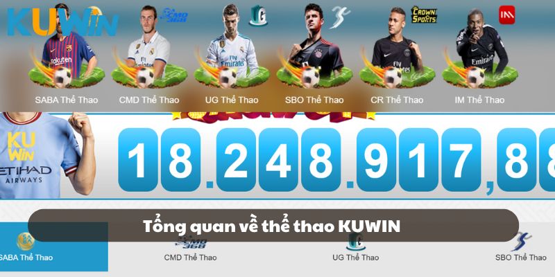 Tổng quan về thể thao KUWIN