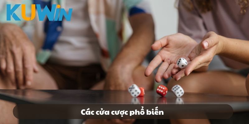 Các cửa cược phổ biến