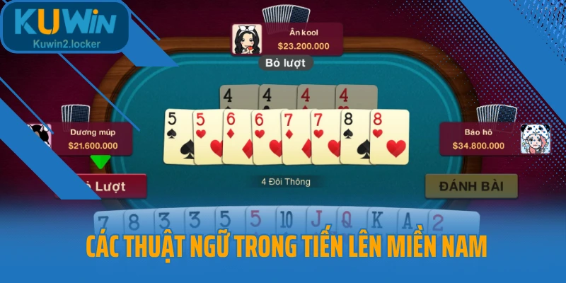 Các thuật ngữ trong tiến lên miền Nam 