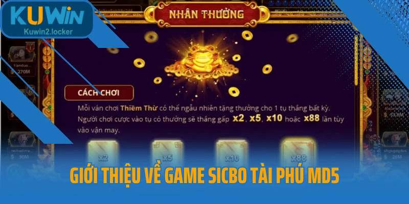 Giới thiệu về game Sicbo Tài Phú MD5